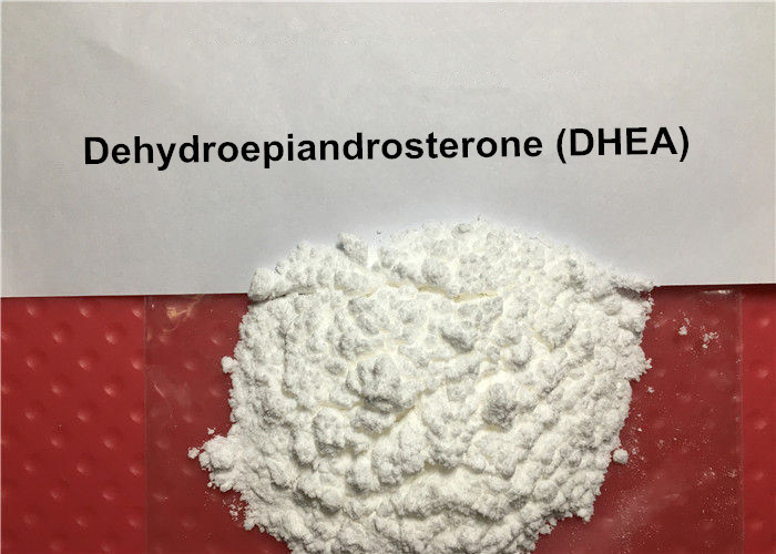 Testosterone Prohormone Dehydroepiandrosterone DHEA Bodybuilding