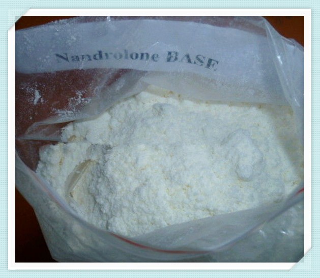 Natural White Crystalline Solid Nandrolone Steroid Nandrolone Base CAS 434-22-0 For Anabolic Steroids Powder