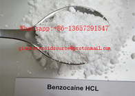 Pain Killer Powder Benzocaine Hydrochloride / Benzocaine HCL CAS 23239-88-5
