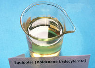 Muscle Growth Drostanolone Steroid Boldenone Undecylenate Oil / EQ CAS 13103-34-9