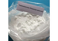 High Purity Steroid Testosterone Phenylpropionate Raw Powder CAS 1255-49-8