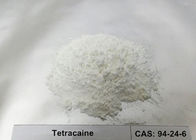 99% Tetracaine Powder CAS 94-24-6 For Ophthalmology / Antipruritic / Spinal Anesthesia