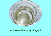 Non Steroidal Anabolic Oral Steroids Letrozole Femara Aromatase Inhibitors Bodybuilding