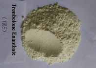 Trenbolone Enanthate Powder / Tren E For Muscle Gaining CAS 10161-33-8