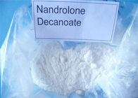 Bulking Cycle Nandrolone Decanoate Deca Muscle Mass Steroid CAS: 360-70-3