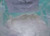 Bulking Cycle Nandrolone Decanoate Deca Muscle Mass Steroid CAS: 360-70-3