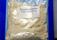 Female Hormone 99% Oestradiol 17-Heptanoate CAS 4956-37-0 Estradiol Enanthate Raw Steroid Powder