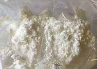 Chemicals Raw Powder Pharmaceutical Raw Materials Oxiracetam Nootropic CAS 62613-82-5