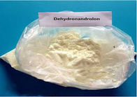 Synthetic Steroid Dehydronandrolon  CAS: 2590-41-2 With Mild Side Effect In Muscle Gaining
