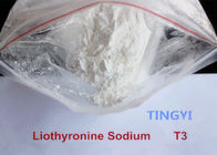 99% Weight Loss  Anabolic Steroid Hormone White Powder T3 L-Triiodothyronine CAS 55-06-1 For Fat Loss