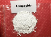99% Teniposide CAS: 29767-20-2 Top Grade Anticancer Drug Raw Powder