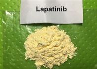 99%	Lapatinib CAS 231277-92-2 targeting breast cancer drug Yellow powder