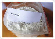 Boldenone Base 846-48-0 Body Building Quick Effect USP Standard 99% Purity