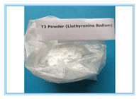 Liothyronine Sodium 55-06-1 Weight Loss Drug 99% Purity Raw Powder Fat Burning