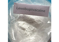 Levobupivacaine 27262-47-1 Local Anesthetic Drug Pharmaceutical Grade 99% Assay