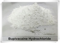 Bupivacaine HCL 27262-48-2 Levobupivacaine HCL Local Anesthetic Raw Powder