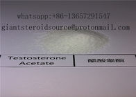 China Steroid Manufacturer Raw Testosterone Acetate Powder / Test Ace