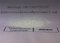 Injectable Anabolic Steroid Testosterone Raw Powder  For Muscle Gainning
