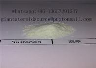 Top Quality Injectable Steroid Powder Testosterone Sustanon 250 White Powder