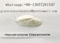 Anabolic Steroid Nandrolone Decanoate / Deca Powder / Premixed Semi-Finished Oil