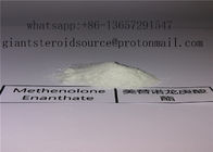 99.1% High Purity Injectable Anabolic Steroid Methenolone Enanthate Powder / Primobolan Depot