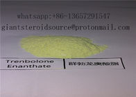 Yellow Raw Steroid Powder For Bodybuilding Trenbolone Base / Trenbolone CAS 10161-33-8