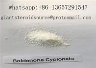 99.9% Boldenone Cypionate CAS 106505-90-2 Androgenic Anabolic Steroids Powder