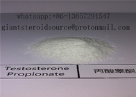 Legal Injectable Steroids Testosterone Propionate 100mg/Ml Yellow Liquid For Muscle Strength
