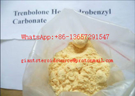 Light Yellow Anabolic Injection Steroids Trenbolone Hexahydrobenzyl Carbonate 50mg / Ml