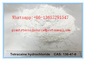 Pontocaine Anti Pain Raw Powder Tetracaine Hydrochloride / Tetracaine HCL CAS 136-47-0