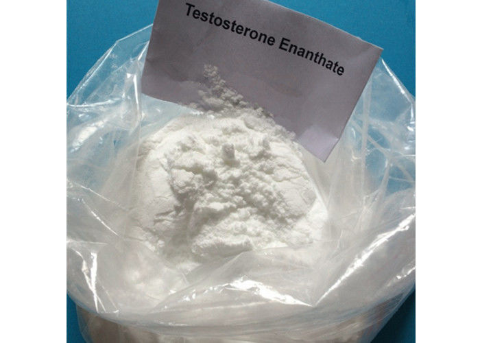 Anabolic Steroid Testosterone Enanthate Raw Powder For ...