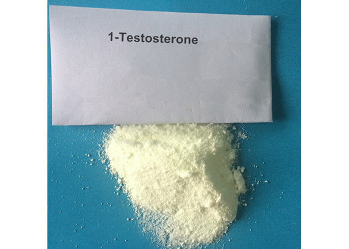 Safe 1-Testosterone Anabolic Steroid Raw Hormone Powders White Odourless Solid CAS 65-06-5