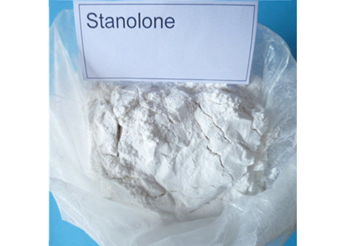 Healthy Androgenic Steroid Stanolone Powder / Androstanolone Powder For Fitness White Powder