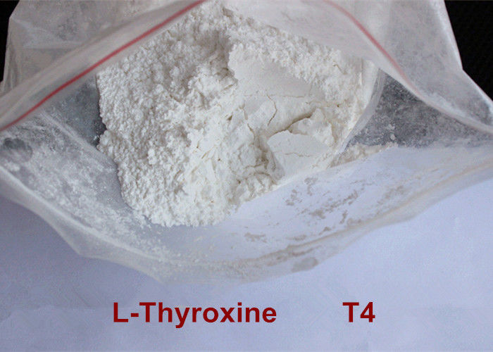 High Purity Safe Weight Loss Drug Levothyroxine T4 Powder CAS 51-48-9