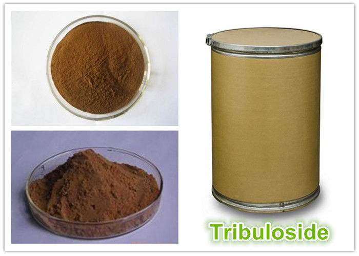 Diuretics And Antihypertensive Drugs 100% Natural Plant Extracts Tribuloside 90% Powder CAS: 22153-44-2