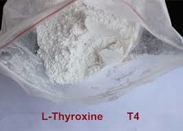 Hot Sale Steroid L-Thyroxine / T4  CAS: 51-48-9 Muscle Building Fitness Supplement