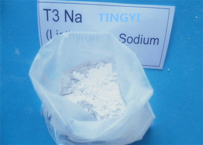 99% Weight Loss  Anabolic Steroid Hormone White Powder T3 L-Triiodothyronine CAS 55-06-1 For Fat Loss
