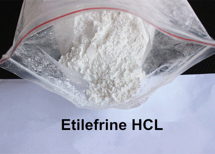Treating Hypotension Drug Raw Powder Etilefrine HCL CAS: 943-17-9 Pharmaceutical Grade 99% Purity