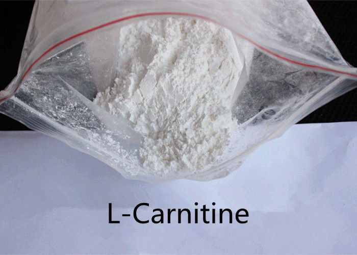 L-Carnitine 541-15-1 Weight Loss 99% Purity USP Standard Quick Effect