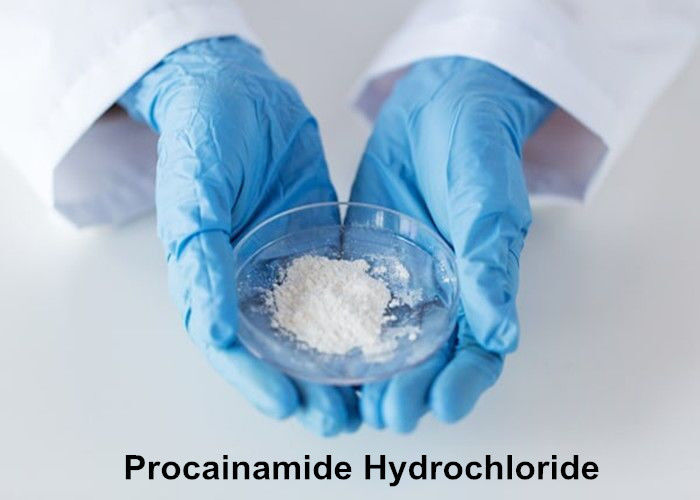 99% Purity Local Anesthetic Powder Procainamide Hydrochloride / Procainamide HCL CAS 614-39-1