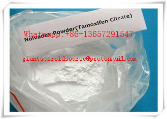 Legal Anti Estrogen Steroids Powder Nolvadex 54965-24-1 Tamoxifen Citrate for Men
