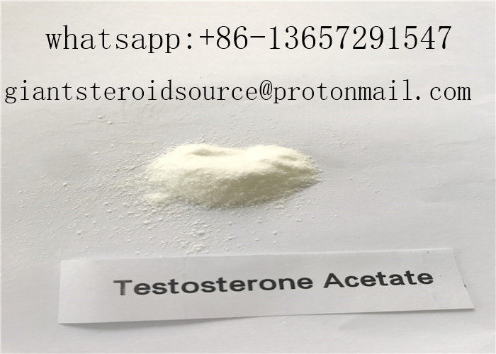 1045-69-8 Testosterone Raw Powder Testosterone Acetate For Muscle Gaining
