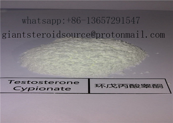 Supply Injectable Steroids Hormone Powder Testosterone Cypionate 58-20-8