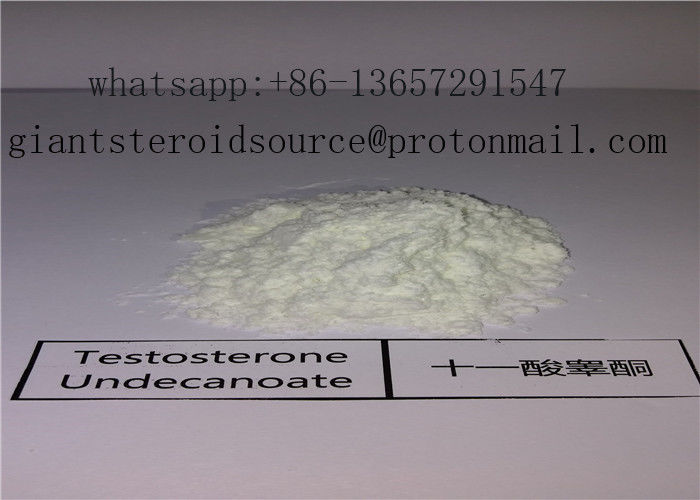 CAS 5949-44-0 Testosterone Undecanoate Raw Steroid White Powder Testosterone Undeca For Body Building