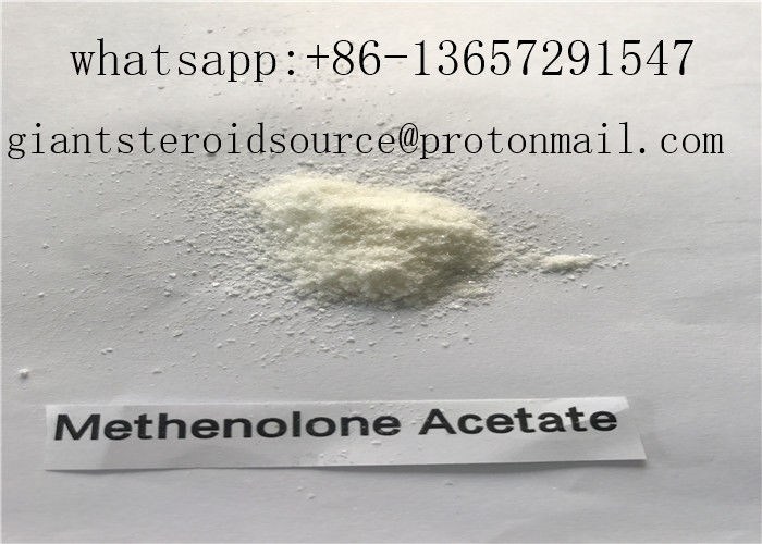 Pharmaceutical Chemicals Methenolone Acetate Primobolan Steroids Hormone with Competitive Price