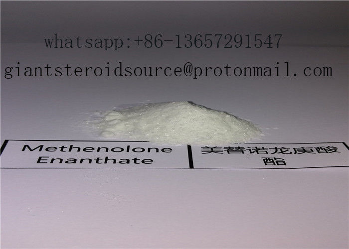 Injectable Oil Based Steroid Liquid Primobolan-Depot / Methenolone Enanthate 100mg/Ml