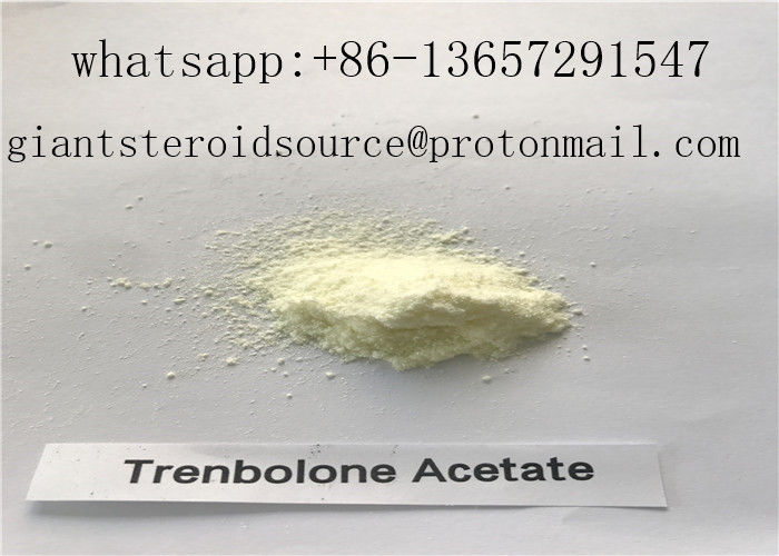 Yellow Tren Bodybuilding Supplement 99 % Anabolic Steroids Methyltrienolone CAS: 965-93-5