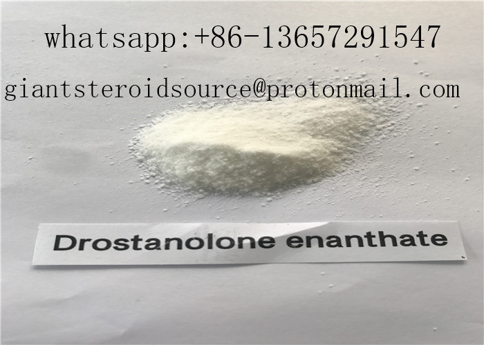 Masteron Enanthate Light Yellow Liquid Injectable Anabolic Steroids Drostanolone Enanthate 100
